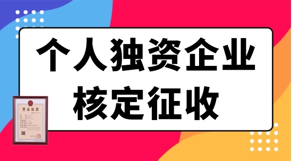 個人獨(dú)資企業(yè)需要繳哪些稅？個獨(dú)企業(yè)有什么優(yōu)惠政策