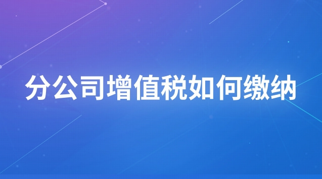 分公司增值稅如何繳納