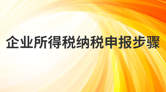 企業(yè)所得稅納稅申報步驟