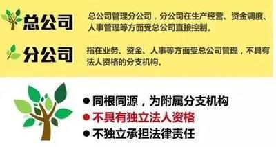 注冊子公司好還是分公司好，子公司和分公司有什么區(qū)別？